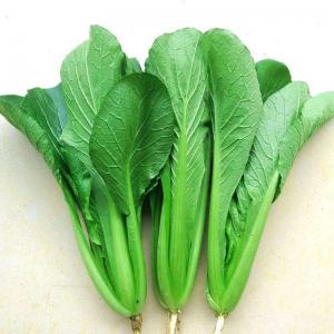 ���--������Ѩ����С�ײ�