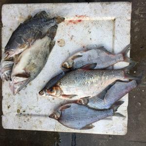 ���㡢����