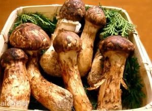 ���� ���ɿ�Ģ����ަ���Ͼ� �����Ĵ������ز�