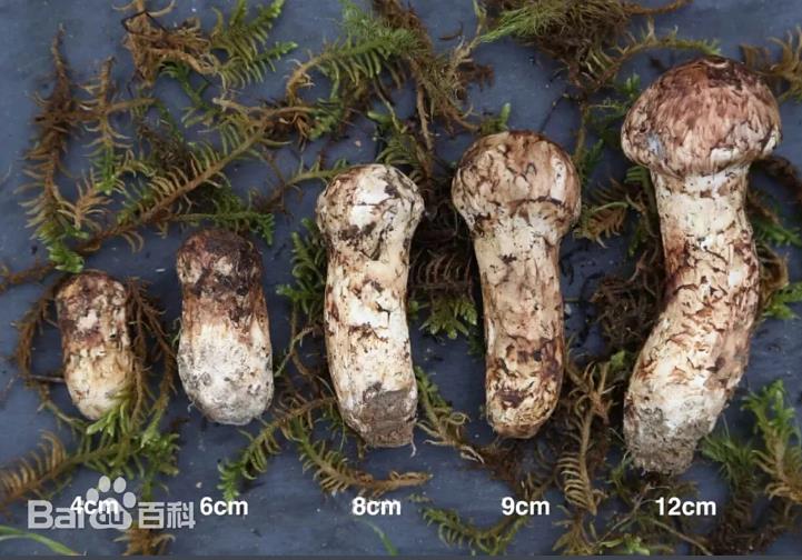 ���� ���ɿ�Ģ����ަ���Ͼ� �����Ĵ������ز�